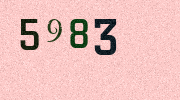 Visual Confirmation Security Code