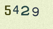 Visual Confirmation Security Code