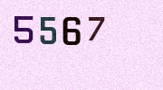 Visual Confirmation Security Code