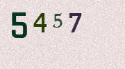 Visual Confirmation Security Code