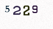 Visual Confirmation Security Code