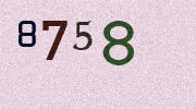 Visual Confirmation Security Code
