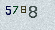 Visual Confirmation Security Code