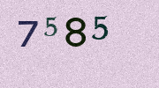 Visual Confirmation Security Code