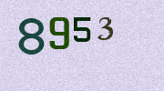Visual Confirmation Security Code