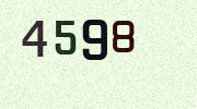 Visual Confirmation Security Code
