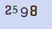 Visual Confirmation Security Code