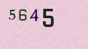 Visual Confirmation Security Code