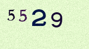 Visual Confirmation Security Code