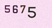 Visual Confirmation Security Code
