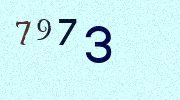 Visual Confirmation Security Code