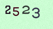 Visual Confirmation Security Code