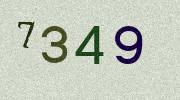 Visual Confirmation Security Code