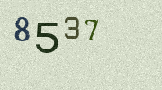Visual Confirmation Security Code
