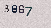 Visual Confirmation Security Code