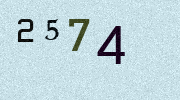 Visual Confirmation Security Code