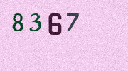 Visual Confirmation Security Code