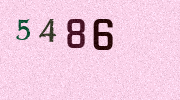 Visual Confirmation Security Code