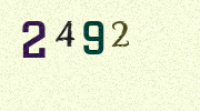 Visual Confirmation Security Code