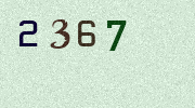 Visual Confirmation Security Code