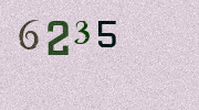 Visual Confirmation Security Code