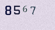 Visual Confirmation Security Code
